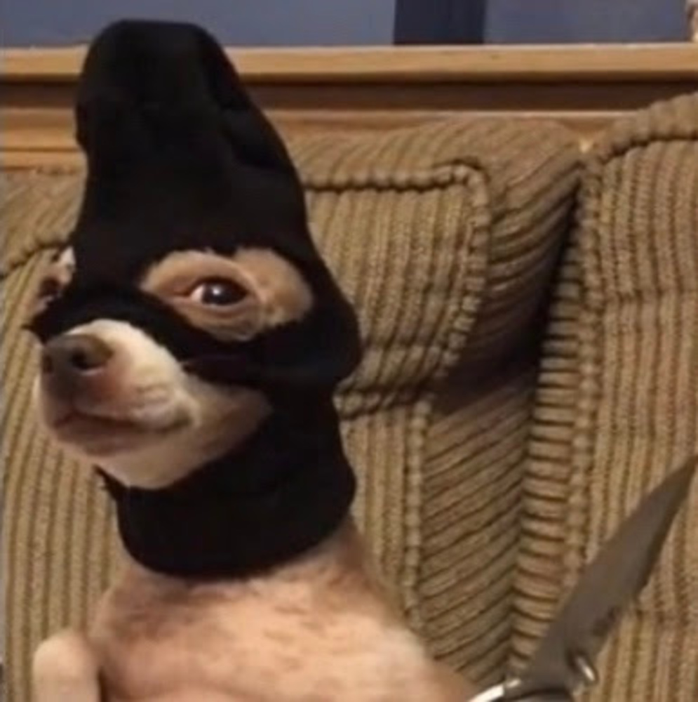Meet your Posher, Mel